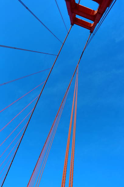 istock Steel Cable Network of the Golden Gate Bridge 1091644554