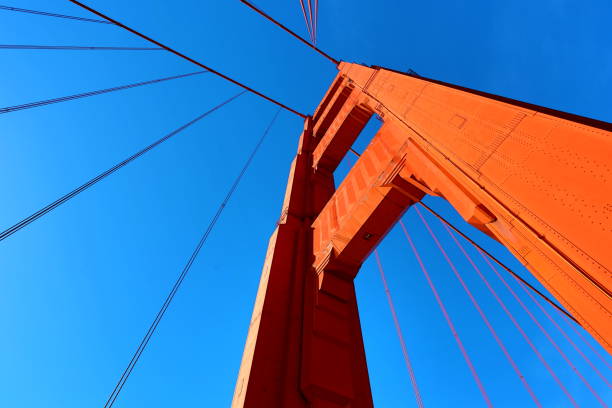 istock Steel Cable Network of the Golden Gate Bridge 1091644556