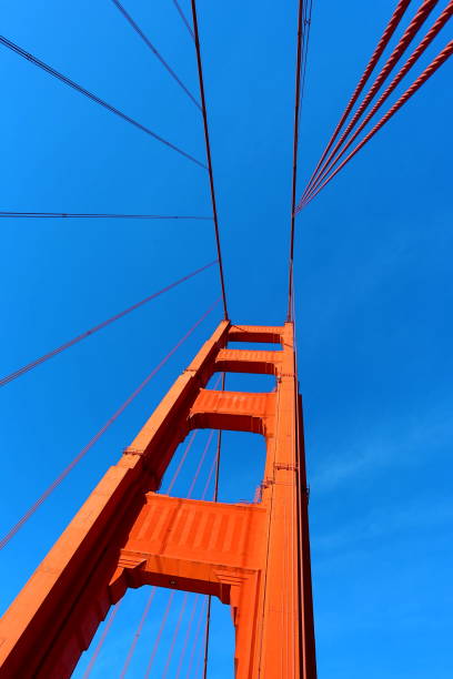 istock Steel Cable Network of the Golden Gate Bridge 1091644574