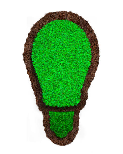 istock Green grass and soil of light bulb, 3D illustration 1091645956