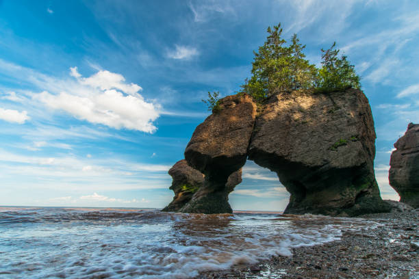 Fotos Baia Fundy, 93.000+ fotos de arquivo grátis de alta qualidade