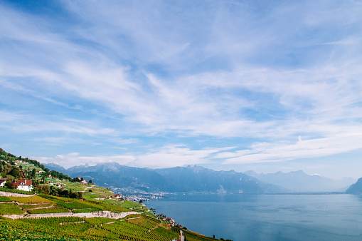 vineyard terrace in Chexbres village in Lavaux near Vevey and Montreux with lake Geneva view