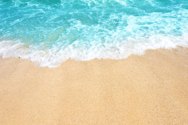 istock Soft wave of ocean on the sandy beach 1091653242