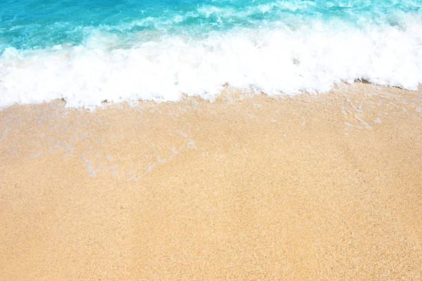 istock Soft wave of ocean on the sandy beach 1091653256
