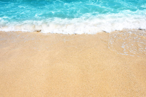 istock Soft wave of ocean on the sandy beach 1091653268