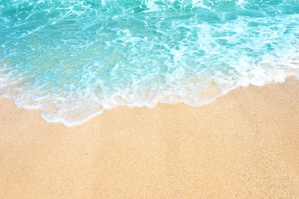 istock Soft wave of ocean on the sandy beach 1091655148