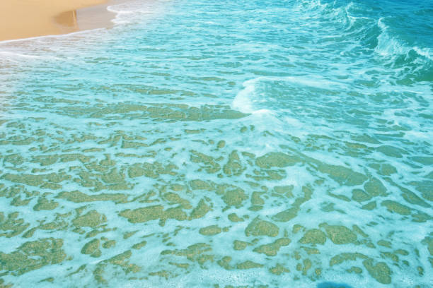 istock Soft wave of ocean on the sandy beach 1091655712