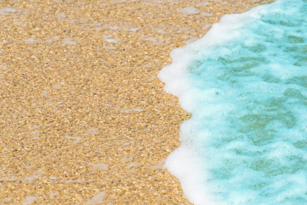 istock Soft wave of ocean on the sandy beach 1091655762