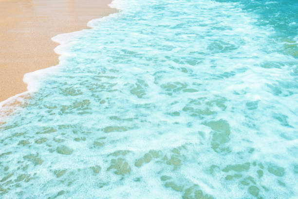 istock Soft wave of ocean on the sandy beach 1091655766