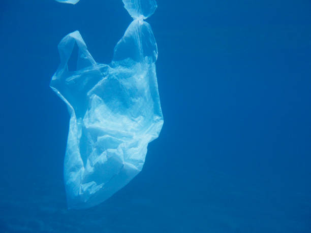 istock Plastic bag floating into the sea. Polluted environmental. Recycle 1091655988