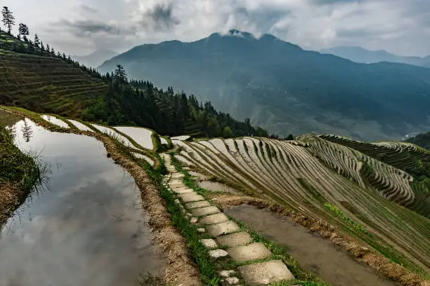In spring the rice terraces in China are flooded and ready for new plants. Thus, the sky and clouds are reflected from these flooded terraces, causing this marvelous view.