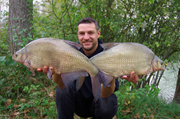 istock Fishing scene, catch of fish, bream 1091661018
