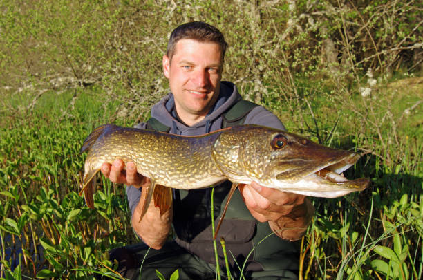istock Pike fishing, catch of fish 1091661022