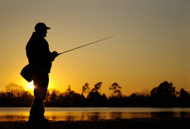 fishing scene, catch of fish, lure fishing - animal catch of fish catching sport imagens e fotografias de stock