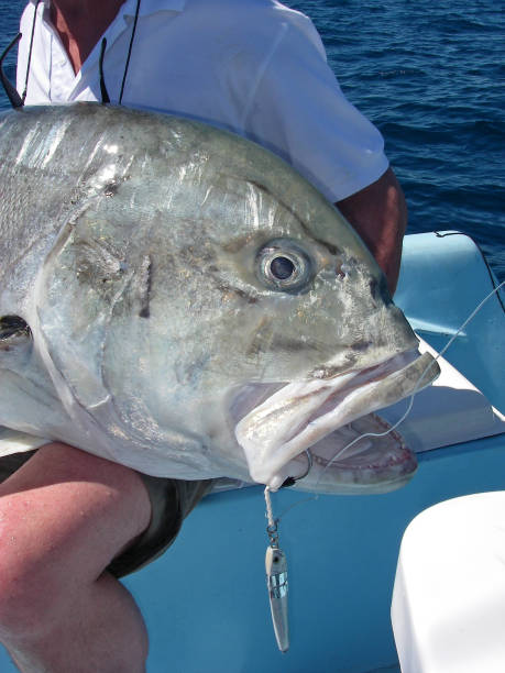 pesca d'altura, pesca di pesce, jack trevally, giant trevally - pesca daltura foto e immagini stock