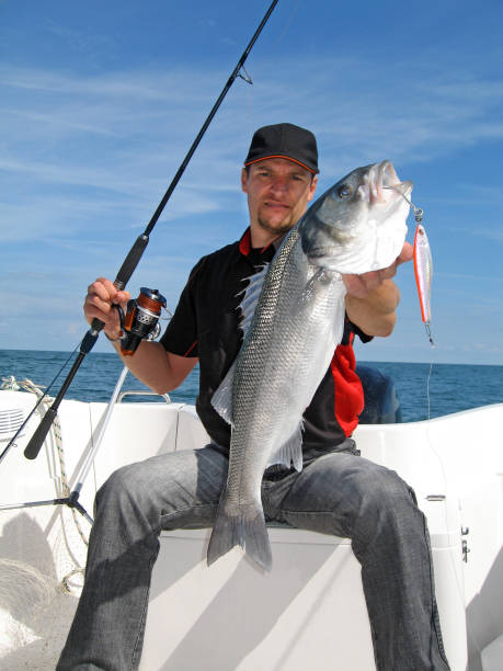 23,500+ White Man Fishing Stock Photos, Pictures & Royalty-Free Images -  iStock