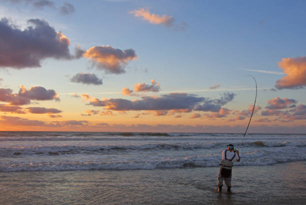 Sea fishing, surf fishing, catch of fish Sea fishing, surf fishing, fisherman fighting a fish into the waves sea fishing stock pictures, royalty-free photos & images