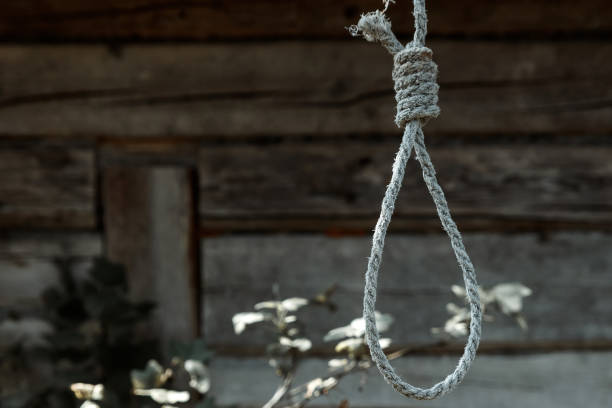 istock Hangman's loop on a wooden wall background. Creative background, the concept of despair, a dead end, a desperate situation. 1091664550