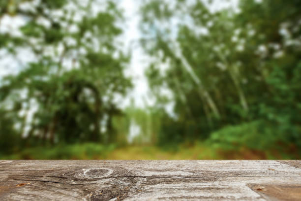 istock An empty wooden table overlooking a blurred green bokeh background, copy space for your text. Creative background, place for installation. Nature concept 1091664616