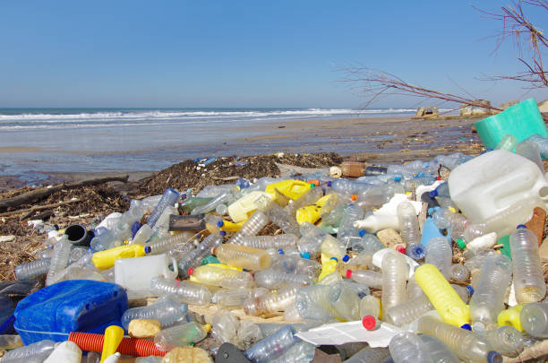 pollution de la plage - toxic substance pollution dirt garbage photos et images de collection