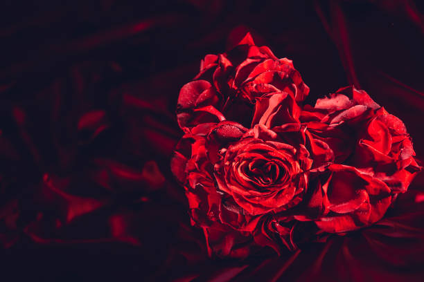 istock Red roses in heart shape on silk background. 1091670328