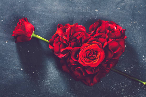 istock Heart-shaped roses and rose flower. 1091670340