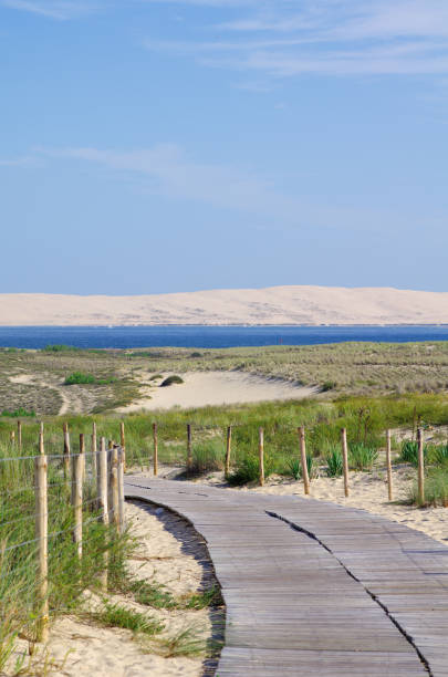 Large view on Arcachon bay and dune of Pilat stock photo