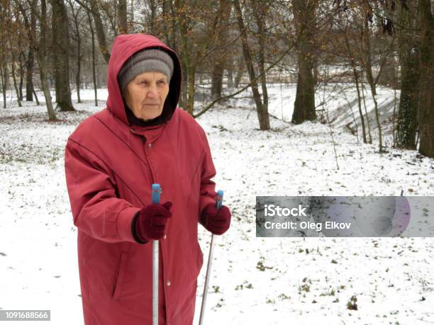 Nordic Walking Healthy Lifestyle Stock Photo - Download Image Now - Skiing, Active Lifestyle, Active Seniors