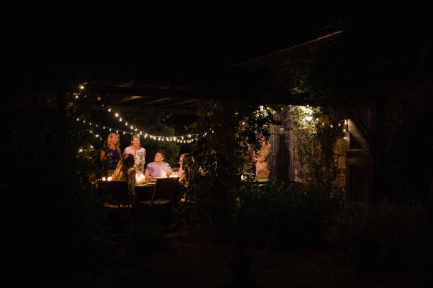 Dinner Party Guests Socialising