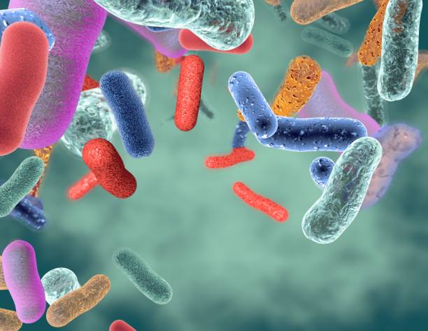 istock Gut healthy bacteria 3d illustration. 1091692962