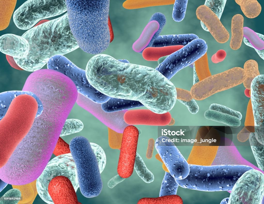Beneficial healthy intestinal bacterium micro flora. Beneficial healthy intestinal bacterium. Human Gastrointestinal Microbiota Stock Photo