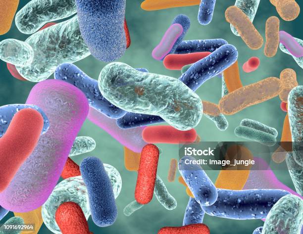 Beneficial Healthy Intestinal Bacterium Micro Flora Stock Photo - Download Image Now
