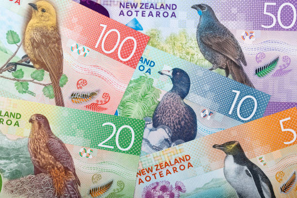 New Zealand dollars - reverse side, a background New Zealand dollars - reverse side, a business background new zealand dollar photos stock pictures, royalty-free photos & images