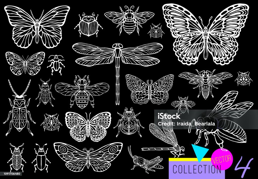 Big hand drawn line set of insects bugs, beetles, honey bees, butterfly moth, bumblebee, wasp, dragonfly, grasshopper. Big hand drawn line set of insects bugs, beetles, honey bees, butterfly moth, bumblebee, wasp, dragonfly, grasshopper. Silhouette vintage sketch style engraved illustration. Butterfly - Insect stock vector