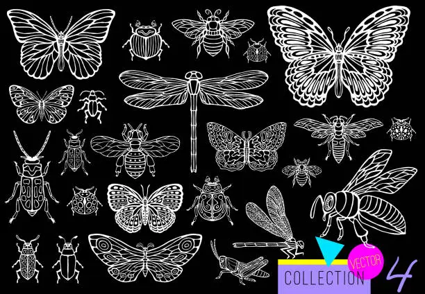 Vector illustration of Big hand drawn line set of insects bugs, beetles, honey bees, butterfly moth, bumblebee, wasp, dragonfly, grasshopper.