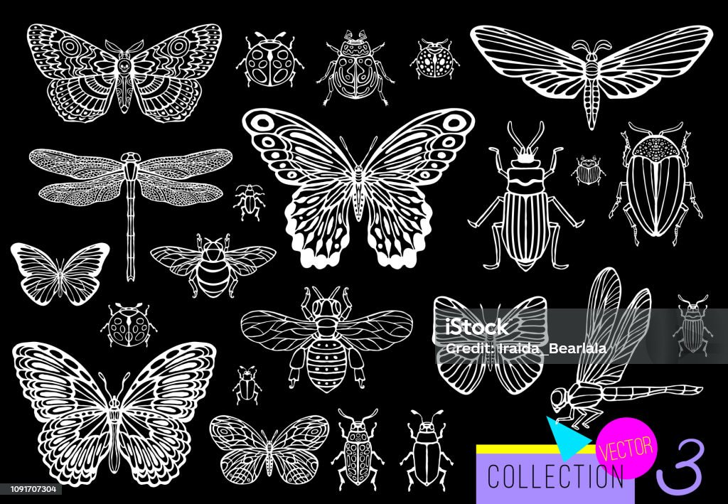 Big hand drawn line set of insects bugs, beetles, honey bees, butterfly moth, bumblebee, wasp, dragonfly, grasshopper. Big hand drawn line set of insects bugs, beetles, honey bees, butterfly moth, bumblebee, wasp, dragonfly, grasshopper. Silhouette vintage sketch style engraved illustration Butterfly - Insect stock vector