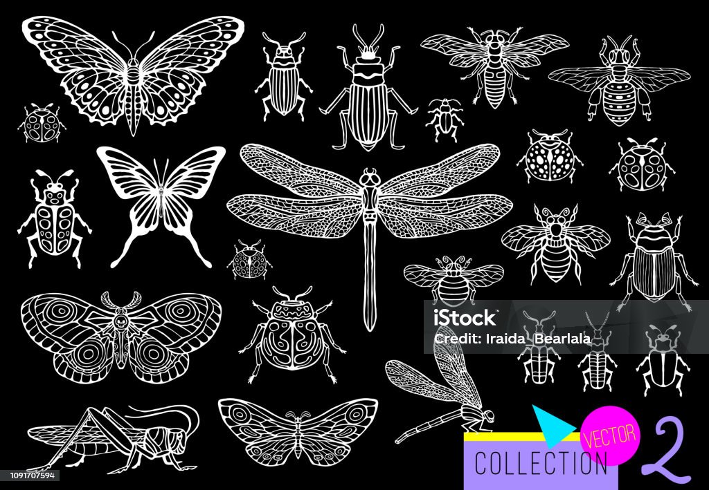Fineliner Insects Big Hand Drawn Line Set Of Insects Bugs Beetles Honey Bees Butterfly ...