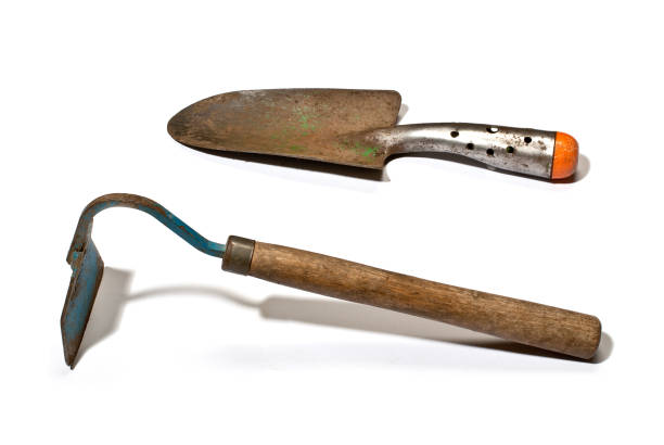 istock Gardening hand tool isolated on the white background 1091709588