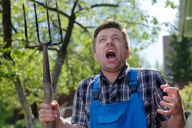 European man with pitchfork is angry, losing his mind standing in garden