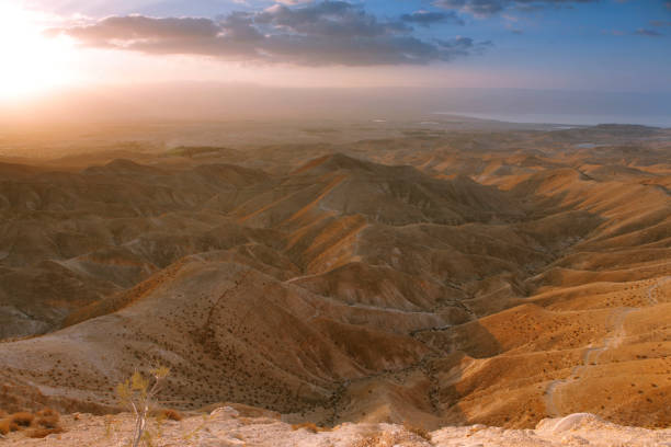 istock Desert Negev, Israel 1091713972