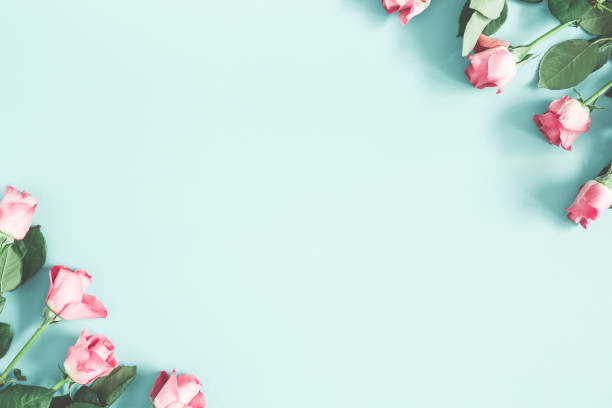 istock Flowers composition. Pink rose flowers on pastel mint background. Flat lay, top view, copy space 1091715448