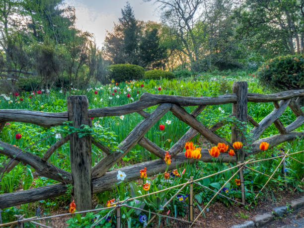 istock Central Park, New York City in spring 1091715798