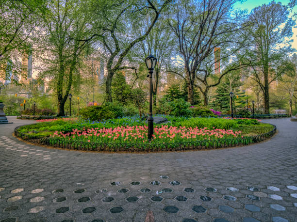 istock Central Park, New York City in spring 1091715998