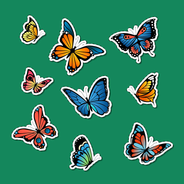 Vector Decorative Colored Butterflies Stickers Set Illustration Stock  Illustration - Download Image Now - iStock