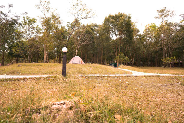 istock camping and rest in tent at the park 1091716206