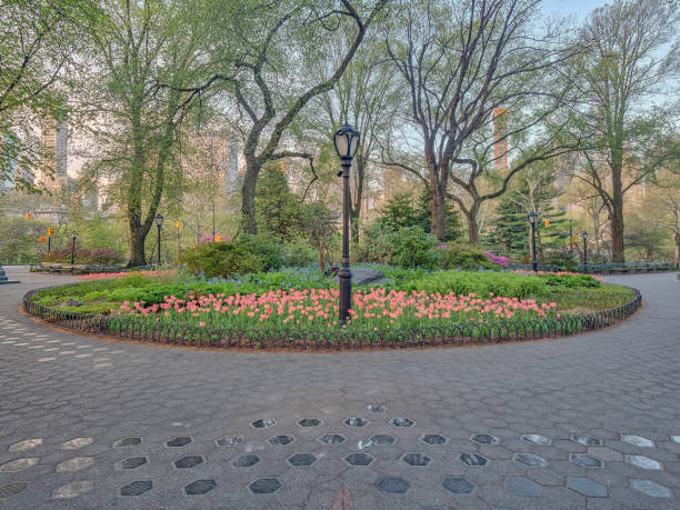istock Central Park, New York City in spring 1091716540