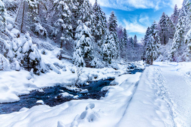 ポーランド - strazyska バレー、タトラ山脈の渓流での休暇 - tatra national park ストックフォトと画像