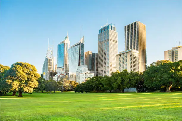 Sydney city high rise buildings and botanic gardens.