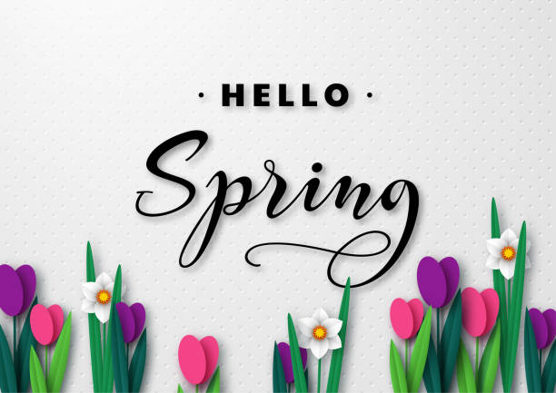 ilustrações de stock, clip art, desenhos animados e ícones de hello spring seasonal greeting banner. - leaf flower head bouquet daffodil