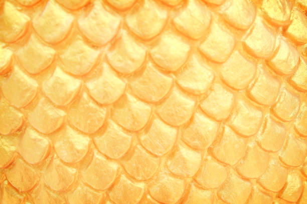 istock Close up  traditional naga scale stucco patterns texture in Thai temple , Gold abstract  background 1091727932